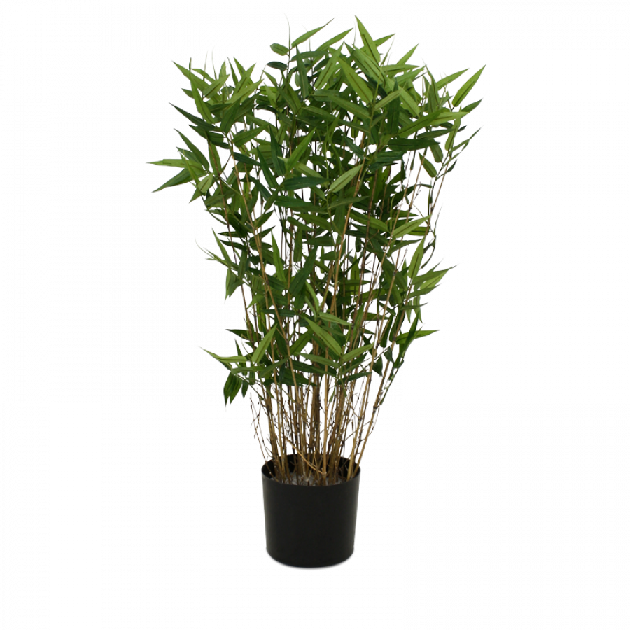 Potted Palm Tree Png (900x900), Png Download