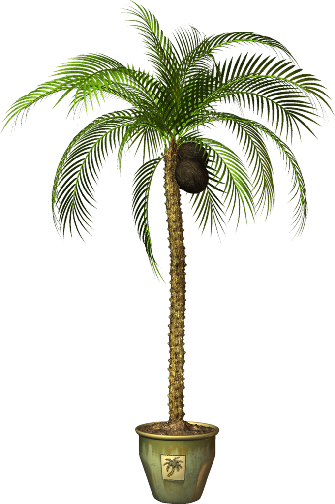 Garden Pot Png Potted Flowers Clip Art - Пальма В Горшке Png (681x1024), Png Download