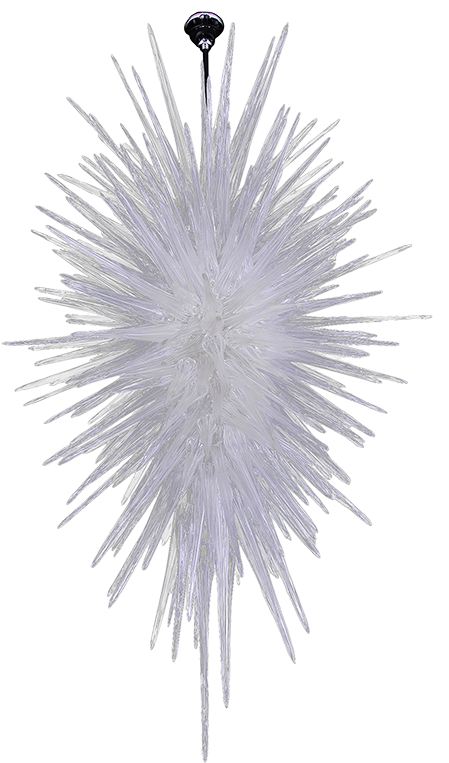 Christopher Guy (800x800), Png Download