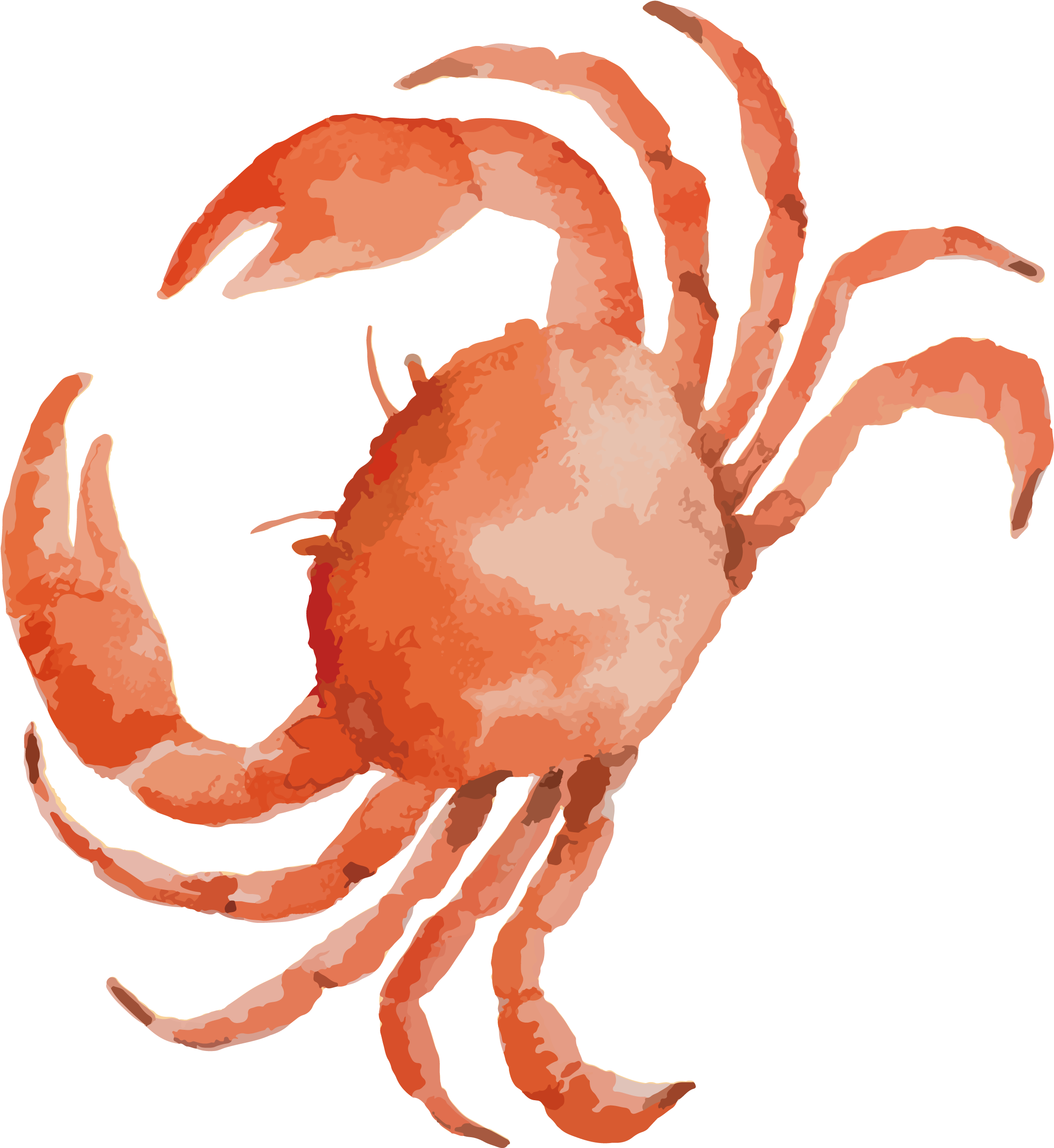 Clipart Black And White Library Dungeness Drawing At - Crab Drawing (2710x2611), Png Download
