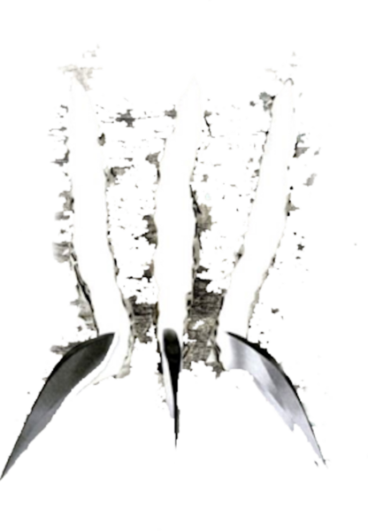 Share This Image - Transparent Wolverine Claws Png (416x600), Png Download