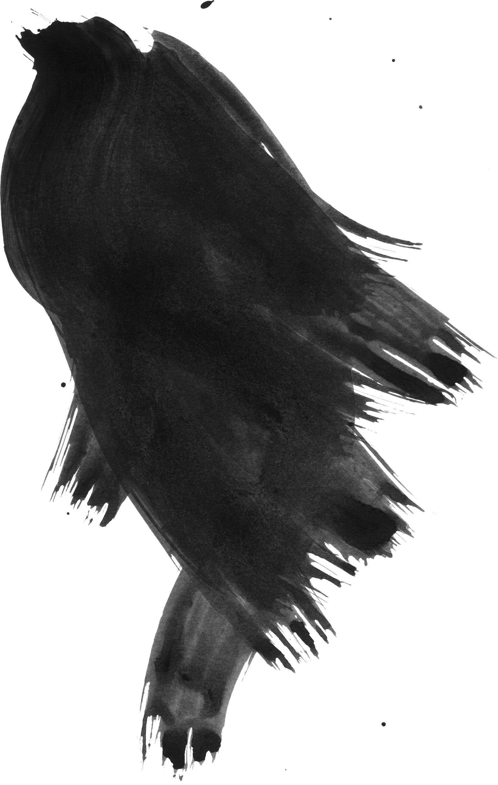 Bittbox Hireswcii 2 - Akua Intaglio Ink (1586x2500), Png Download