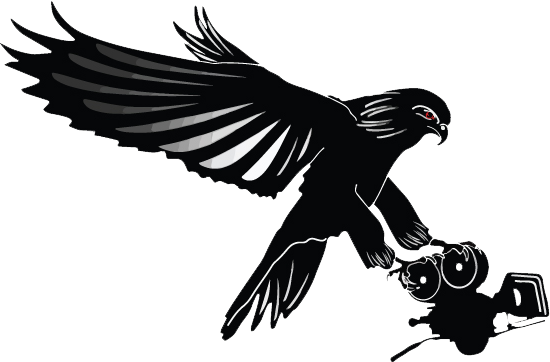 Falcon Vector Claw - Falcon Production Logo Png (550x362), Png Download