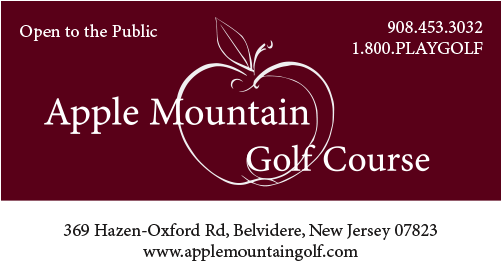 Business Cards - Chartered Accountants Ireland (500x500), Png Download