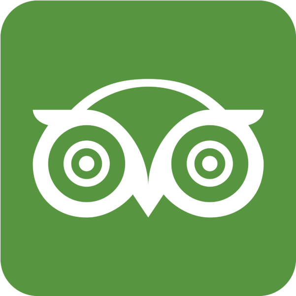 Vector Tripadvisor Logo Png (800x600), Png Download