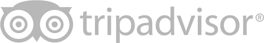 Trip Advisor Logo - Tripadvisor Logo White Png (1119x588), Png Download