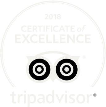 Tripadvisor Award - Circle (533x400), Png Download