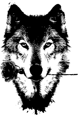Wolf Side Tattoo - Best Gift - Black Rose Hoodie/t-shirt/mug Black/navy/pink/white (400x400), Png Download
