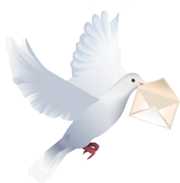 Birthday Wishes With Pigeon (650x651), Png Download