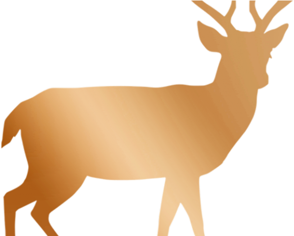 Whitetail Deer Png - Deer Silhouette No Background (640x480), Png Download