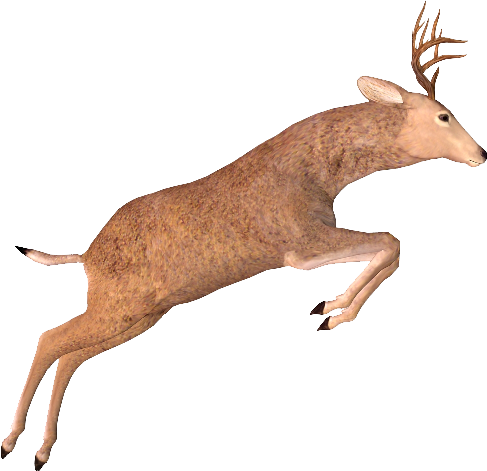 Deer Png Image - Elk (1000x1000), Png Download