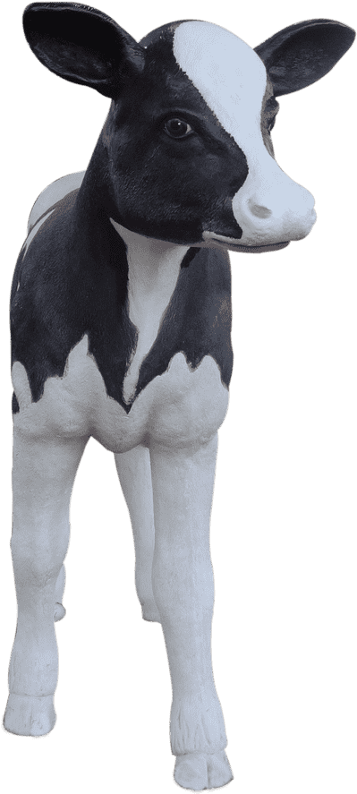 Cow Holstein Calf - Dairy Cow (1280x960), Png Download