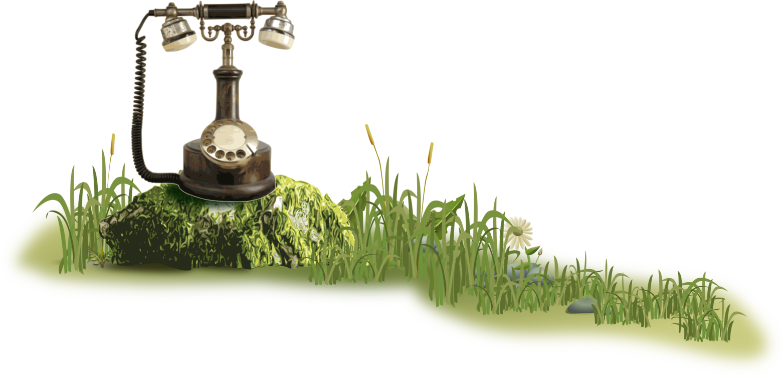 Téléphone Nature (800x384), Png Download