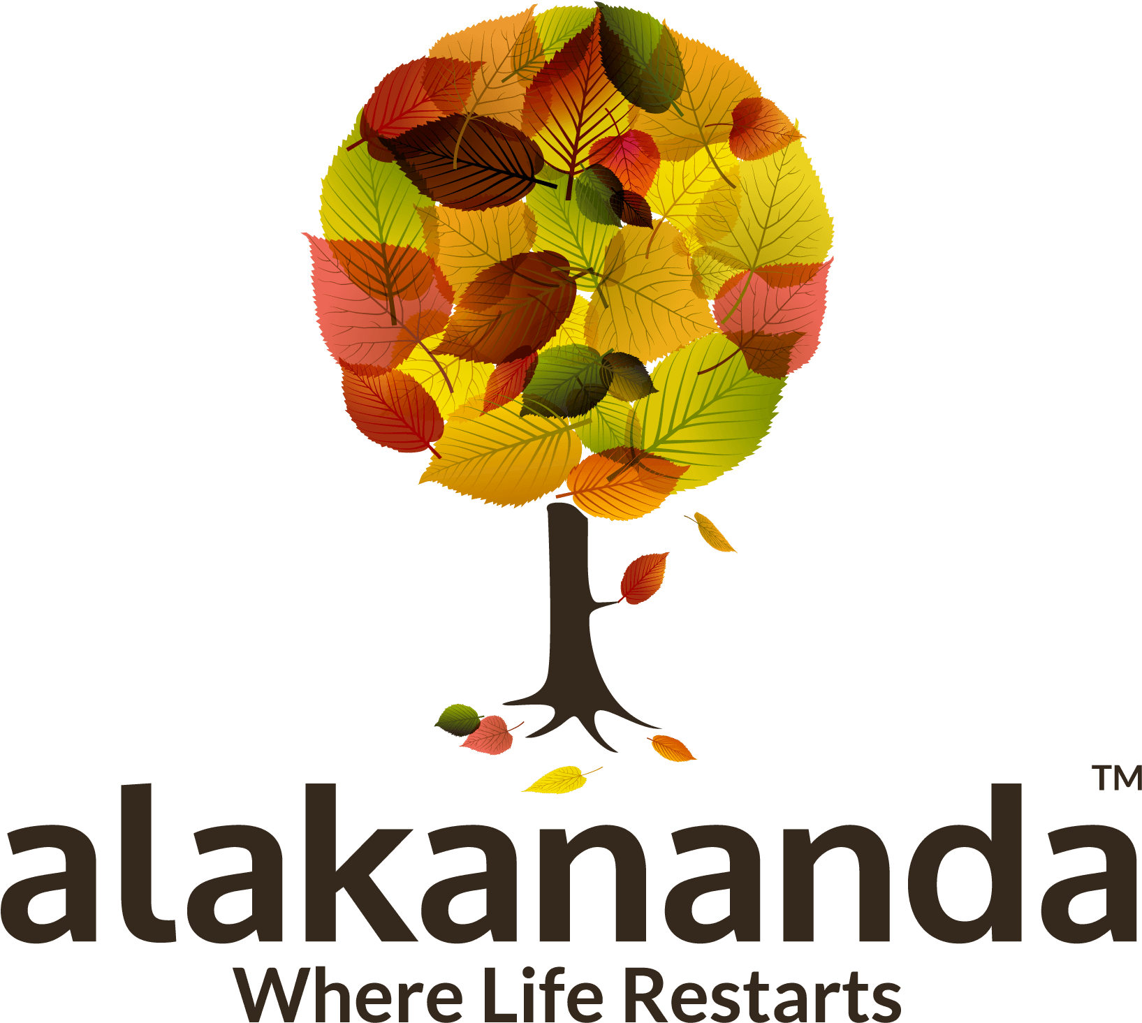 Alakananda Riverfront - Juz 1 Summary (2000x2099), Png Download