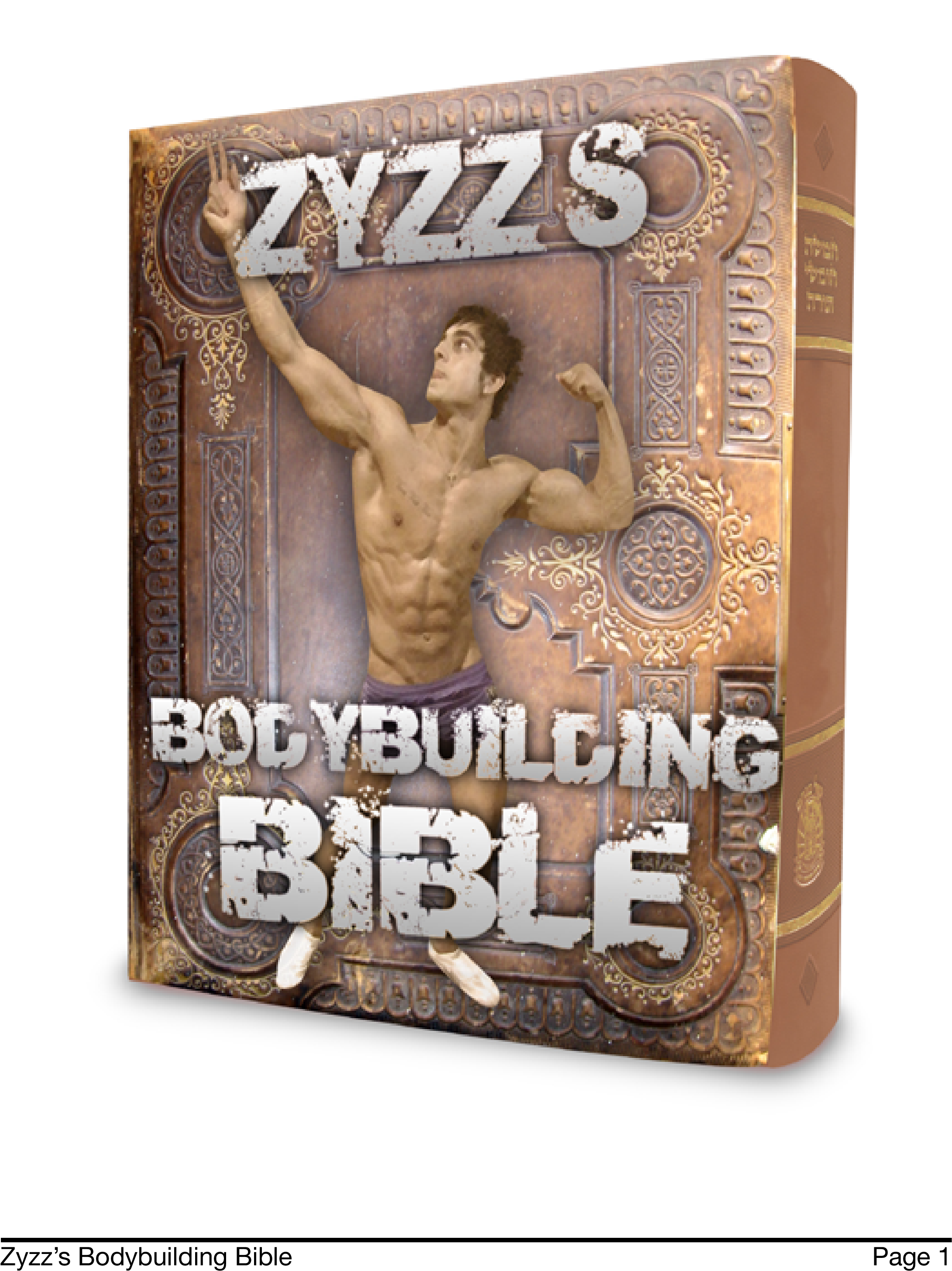 Weekly Bodybuilding Workout Schedule - Zyzz Bodybuilding Bible (2480x3508), Png Download