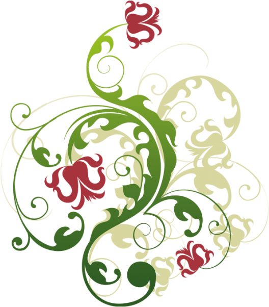 Free Png Download Colorful Floral Design Png Png Images - Flower (850x638), Png Download