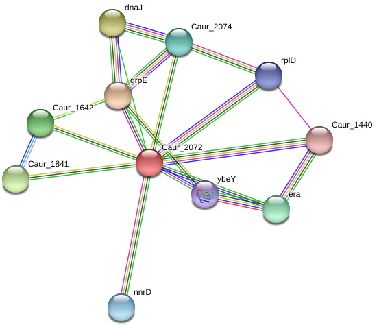 Caur 2072 Protein - Circle (975x510), Png Download