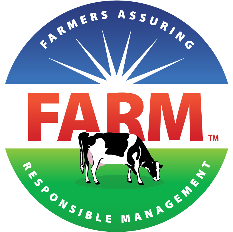 Dairy Cow (868x857), Png Download