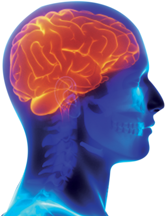 720 X 450 7 - Radiology (720x450), Png Download