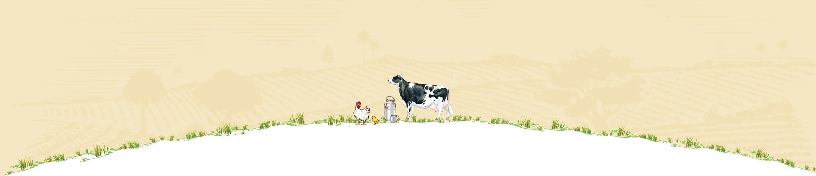 Dairy Cow (2787x601), Png Download