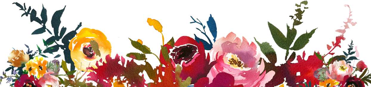 Welcome - Common Peony (1243x317), Png Download