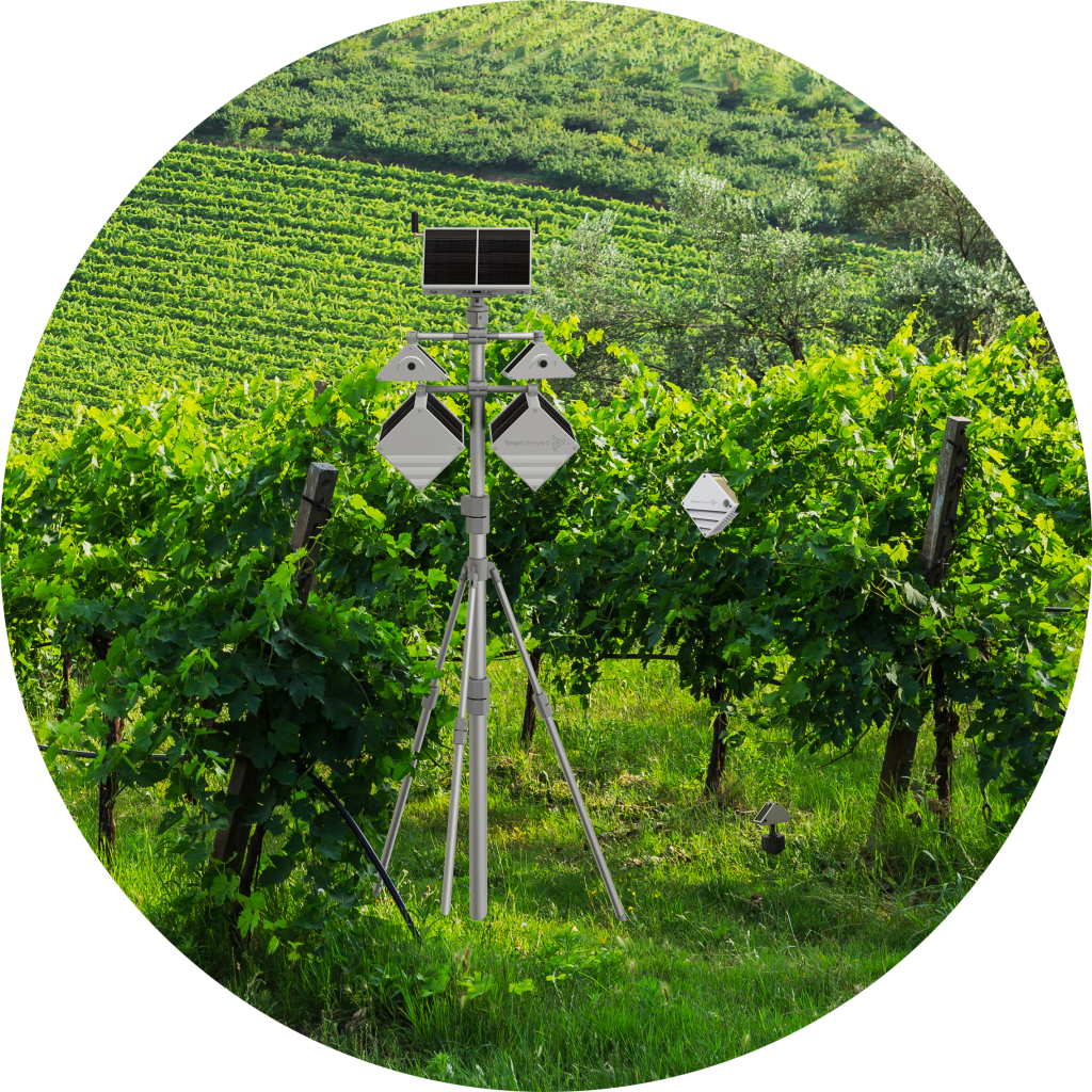 Top Features Of Smartvineyard™ Devices - Tree (1024x1024), Png Download