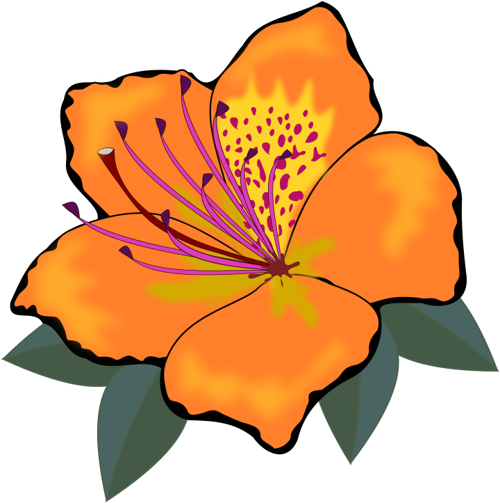 Orange Flower Clipart One Flower - Cross Stitch Flower Clipart (800x800), Png Download