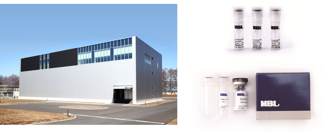 The Path That An Mbl Antibody Takes To Go From Development - Commercial Building (1075x442), Png Download