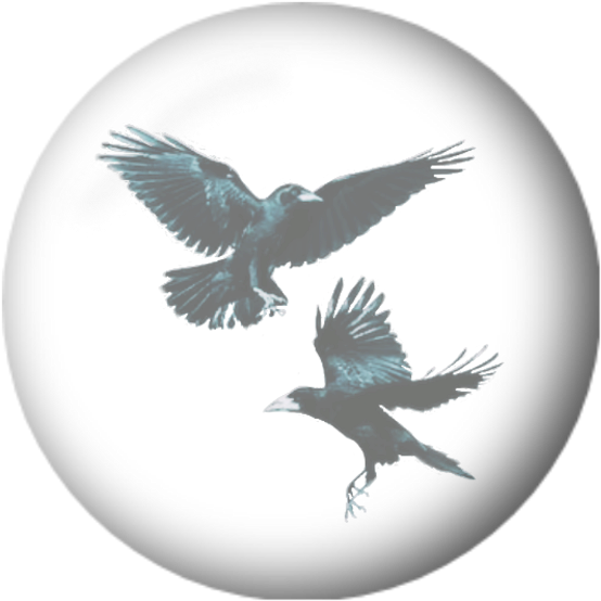 Brewer's Blackbird (1024x1024), Png Download