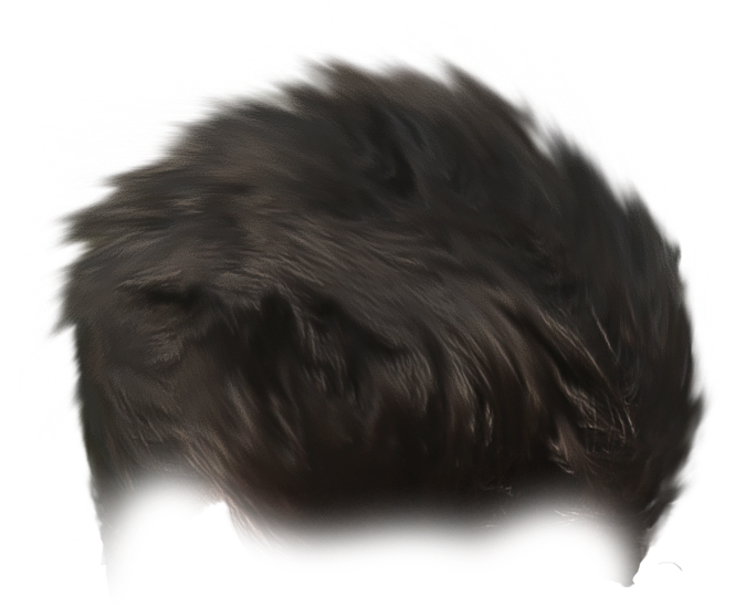 Stock Download From Below - Lace Wig (861x744), Png Download