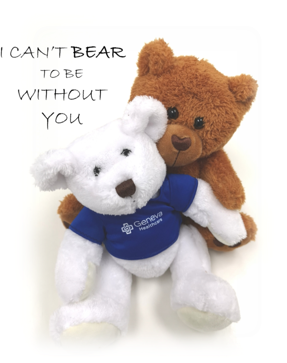 Mohimohi And Friend In Valentine - Teddy Bear (618x746), Png Download