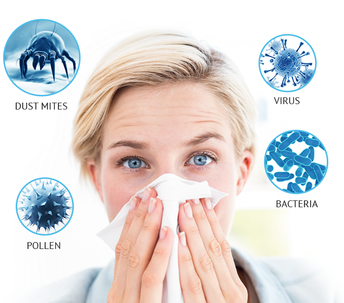 Dust - Cura Rinite Alérgica (700x640), Png Download