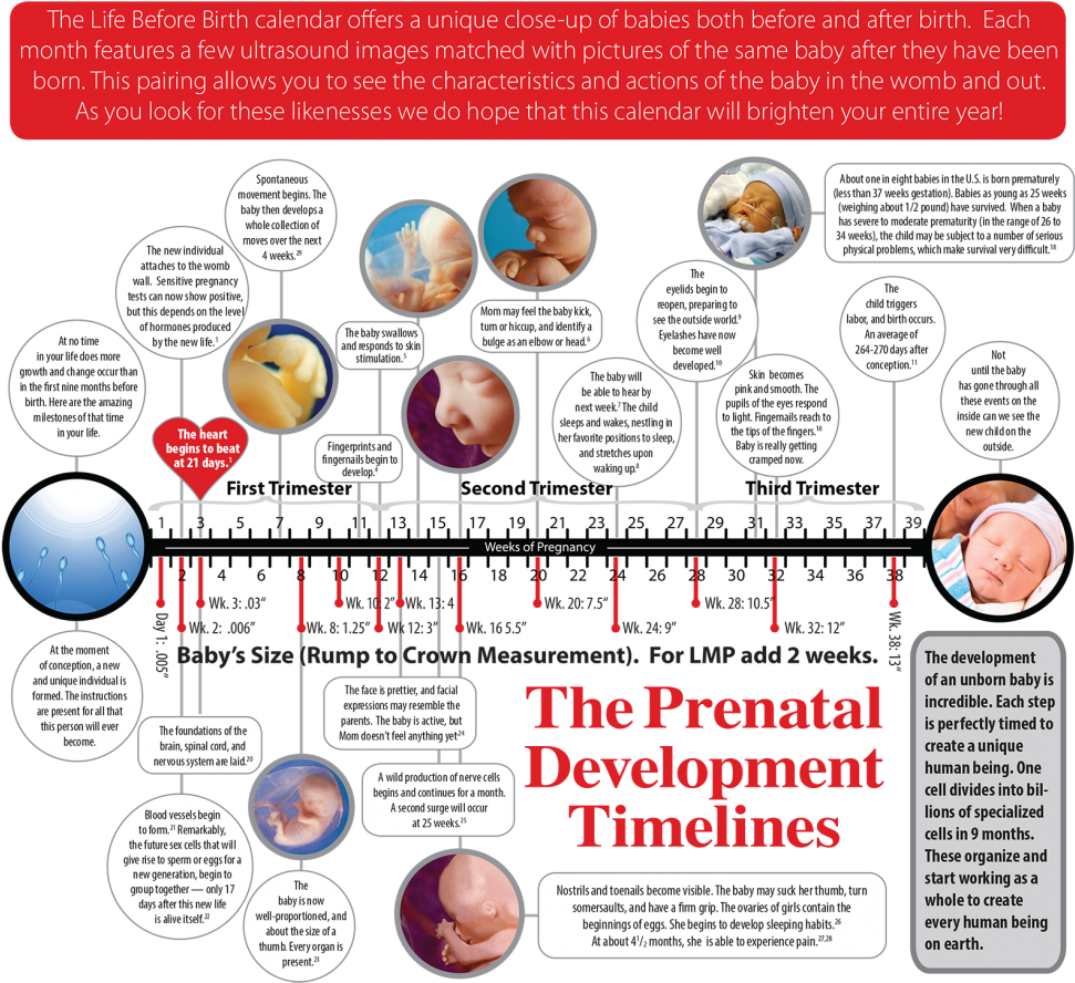 2018 Calendar - Dr Apj Abdul Kalam (1000x899), Png Download