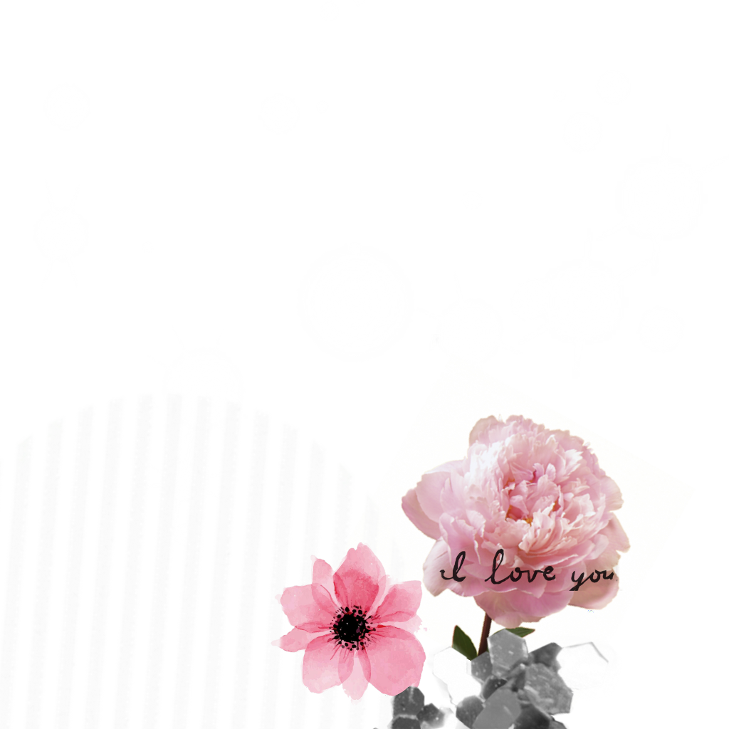 Rose Sticker - Flowering Dogwood (1024x1024), Png Download