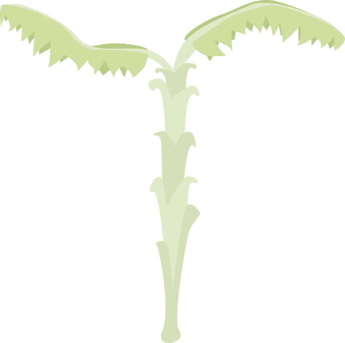 Tweets By @pinkhoof - Tree (688x684), Png Download