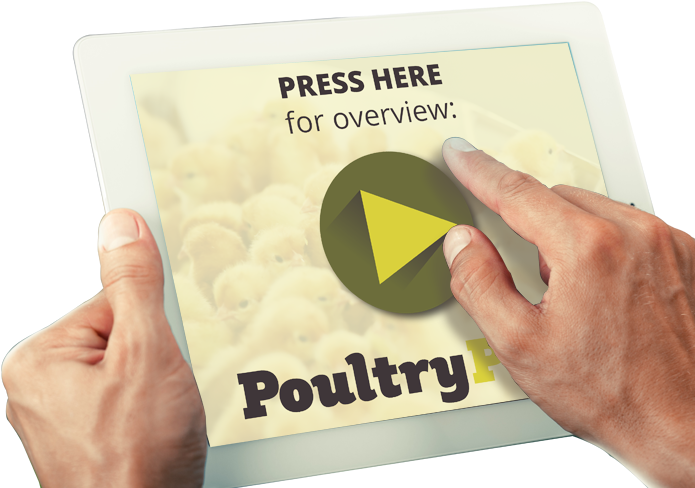 Overview Video - Sign (700x622), Png Download