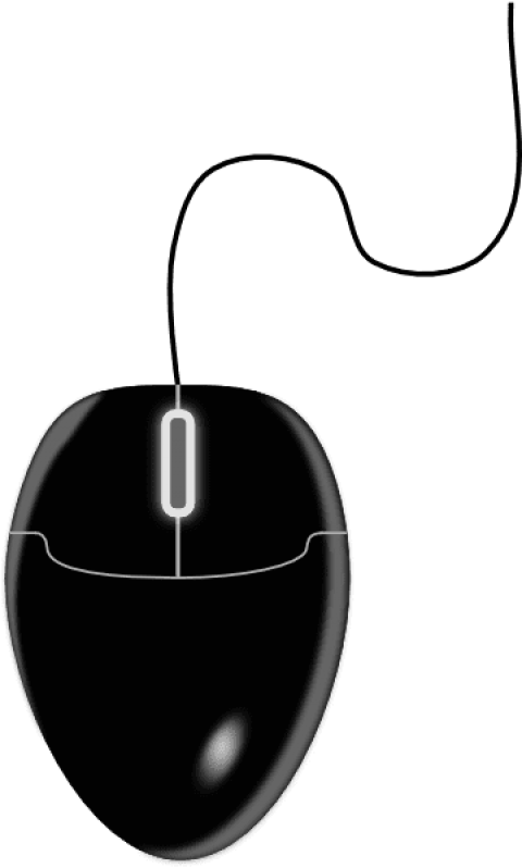 Free Png Download Computer Mouse Png Images Background - Computer Mouse Clipart Png (480x798), Png Download