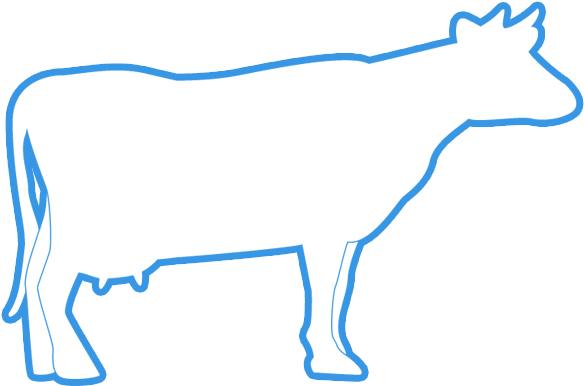 Cattle Clipart Qurbani - Dairy Cow (720x508), Png Download