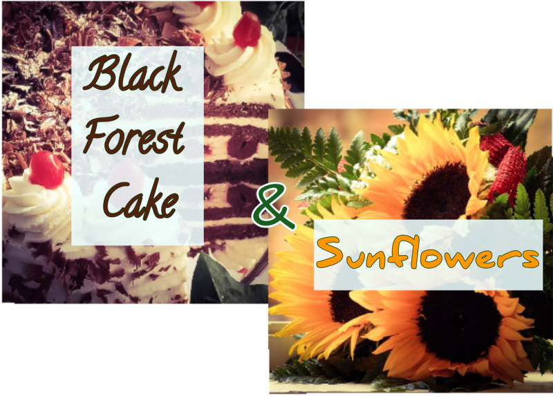 Sunflower (800x573), Png Download