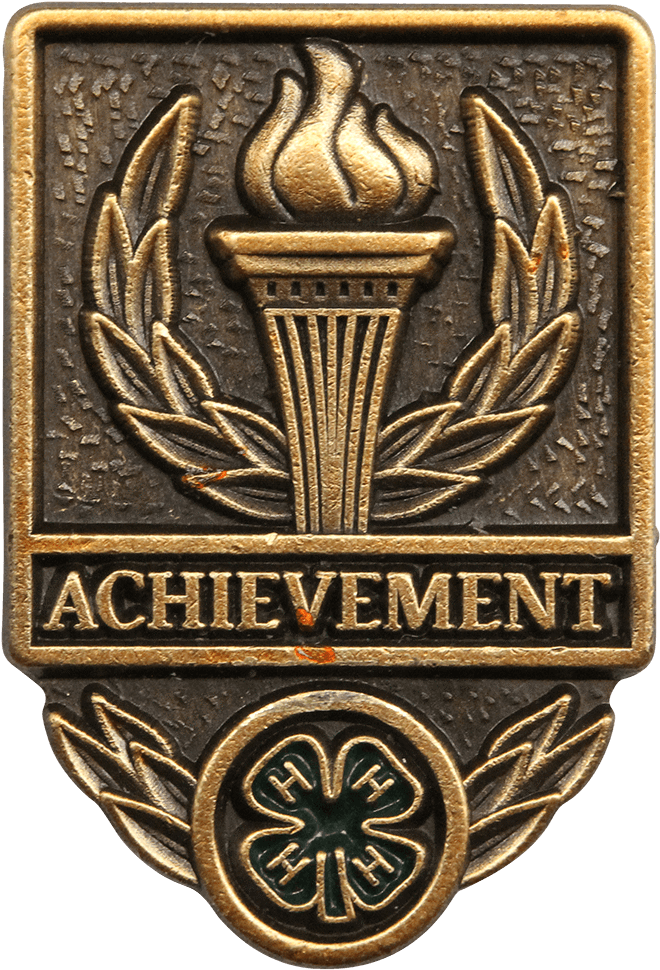 Achievement Pin - Badge (1028x1028), Png Download