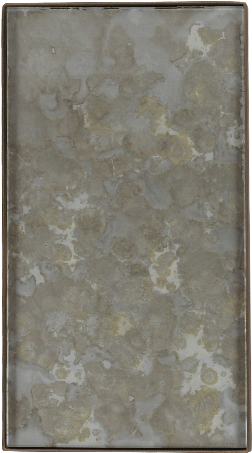 Fossil Organic Mini Tray - Tile (1000x1000), Png Download