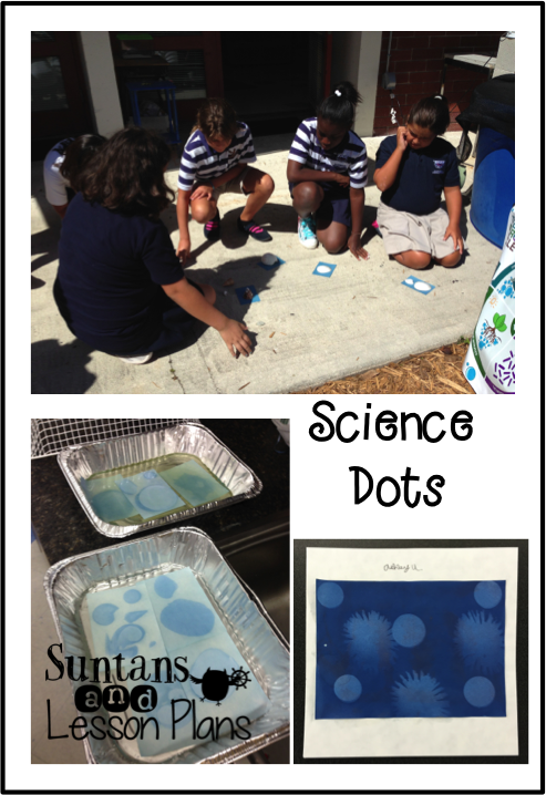 The Science Dots Were Made Using Sun Prints - Photo Caption (493x718), Png Download