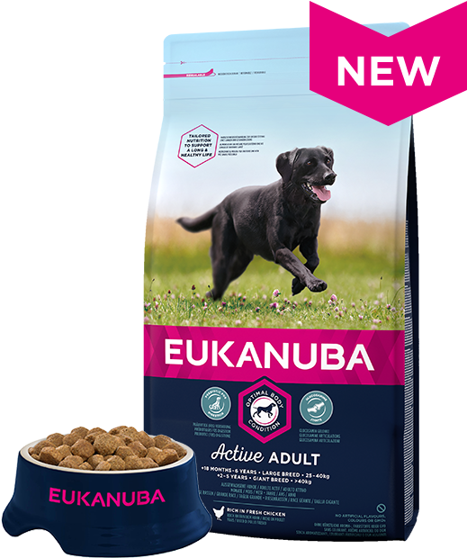 eukanuba junior large