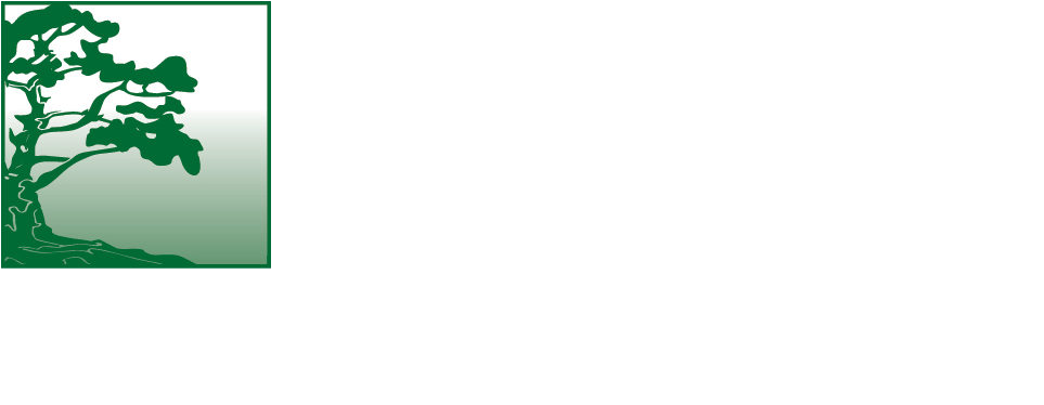 Pmi Monterey Bay Chapter - Graphic Design (1015x428), Png Download