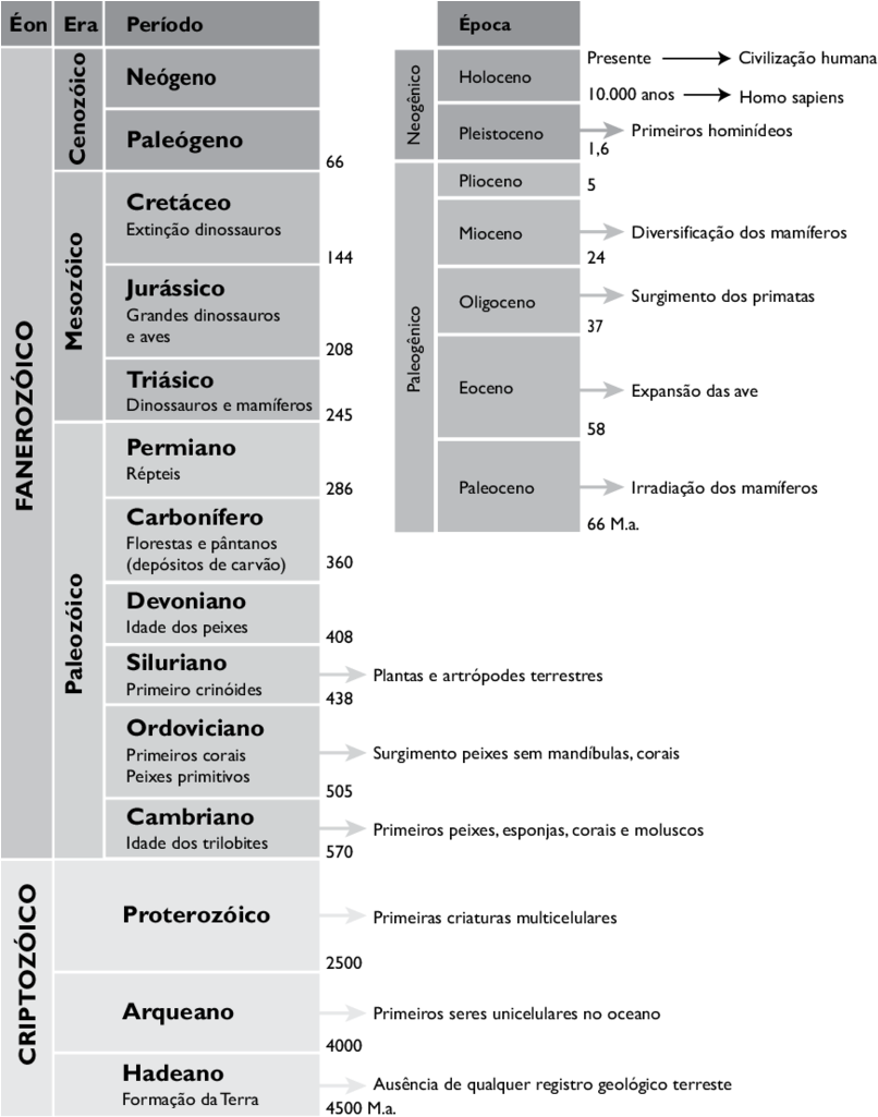 Lonha Do Tempo - Linha Do Tempo Evolução Biologia (850x1026), Png Download
