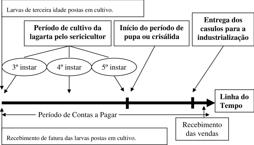 Linha Do Tempo Que Representa O Ciclo Operacional Na - Diagram (850x484), Png Download