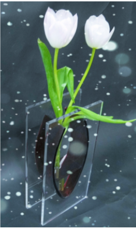 Fashion Decorative Modern Vases Transparent Glass Acrylic - Crocus (800x800), Png Download