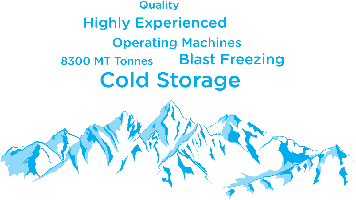 Our Cold Storage Provides The Best Services With The - White Mountain Range Png (1159x651), Png Download
