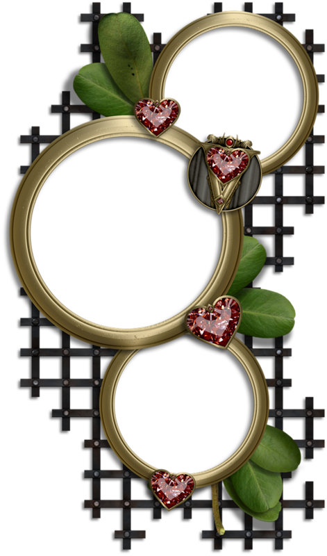 Tubed Frames Png's - Picture Frame (471x800), Png Download