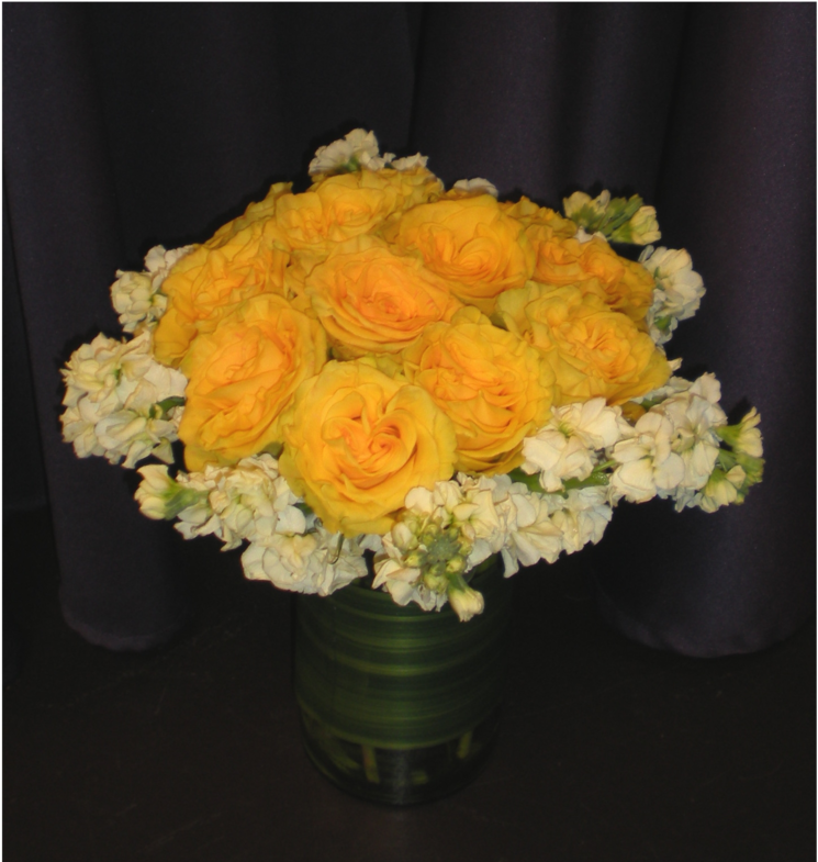 Garden Roses (1000x1000), Png Download